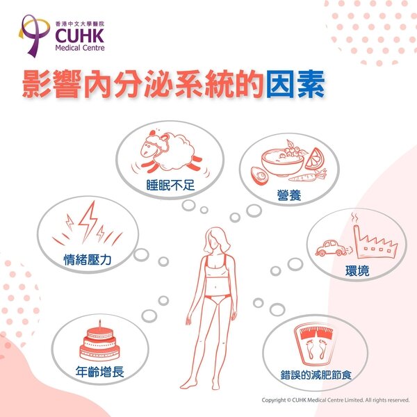 影響內分泌系統的因素