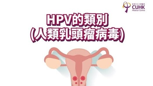 HPV的類別