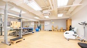 修例通過 物理治療免轉介 盧寵茂：目標年內完成臨牀指引