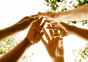 認識我們的員工圖片