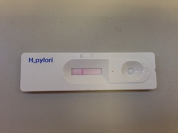 Image of Helicobacter Pylori Serology Test 幽門螺旋菌血清測試相片