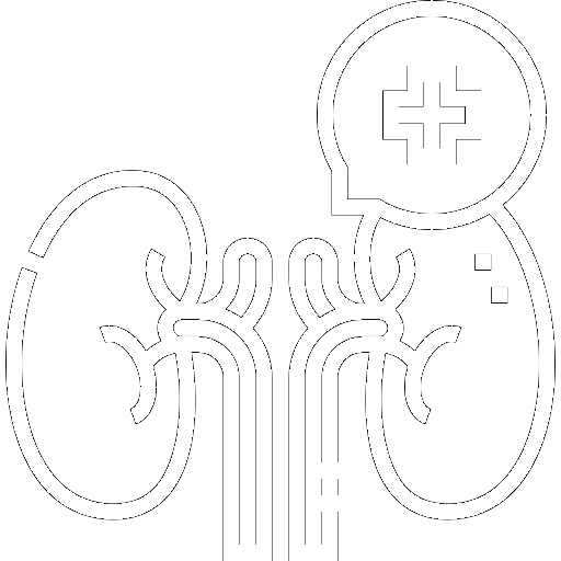 Kidney Icon