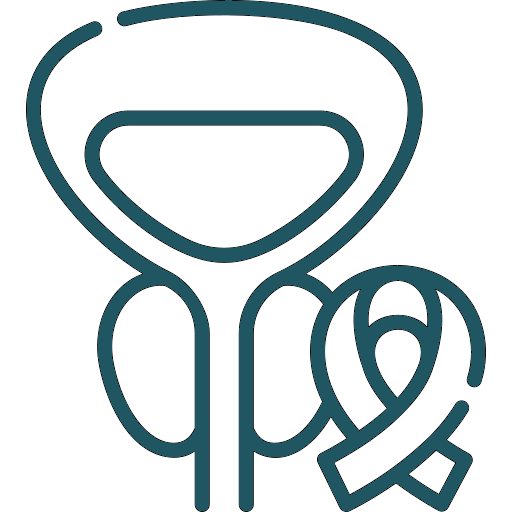 Prostate icon